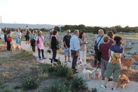 ''Insieme ovunque'': a Bari padroni che portano i cani al museo, ai concerti e a cinema